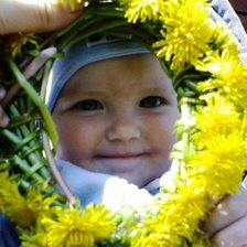 Cross stitch pattern: #895995