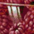 Preview of cross stitch pattern: #896176