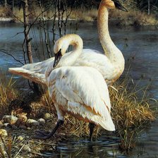 Cross stitch pattern: #896207