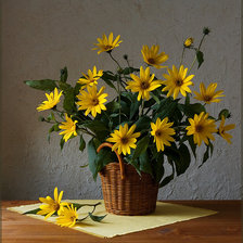 Cross stitch pattern: #896473