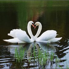 Cross stitch pattern: #896539