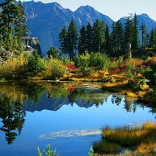 Cross stitch pattern: #896717