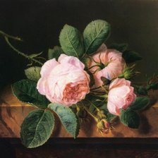 Cross stitch pattern: #896867