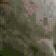 Preview of cross stitch pattern: #896984
