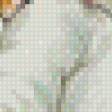 Preview of cross stitch pattern: #897019