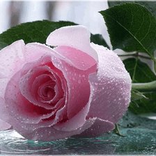 Cross stitch pattern: #897347