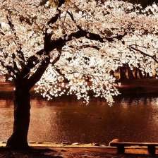 Cross stitch pattern: #897354