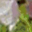 Preview of cross stitch pattern: #897362