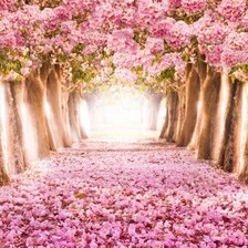 Cross stitch pattern: #897481