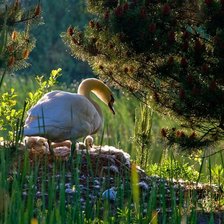Cross stitch pattern: #897615