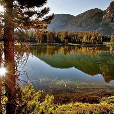 Cross stitch pattern: #897622