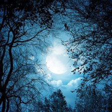 Cross stitch pattern: #897766