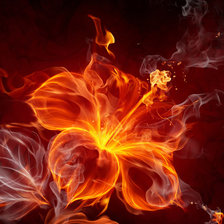 Cross stitch pattern: #897791