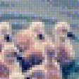 Preview of cross stitch pattern: #897801