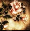 Cross stitch pattern: #897832