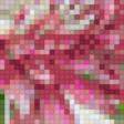 Preview of cross stitch pattern: #897887