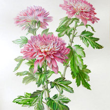 Cross stitch pattern: #897887