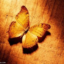 Cross stitch pattern: #897892