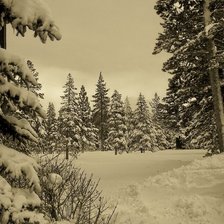 Cross stitch pattern: #897897