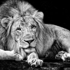 Cross stitch pattern: #897898