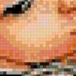 Preview of cross stitch pattern: #897930