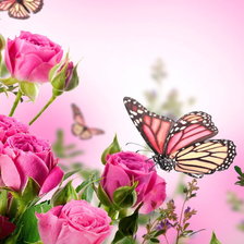 Cross stitch pattern: #898774