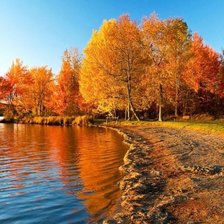 Cross stitch pattern: #898809