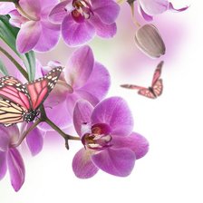Cross stitch pattern: #898816