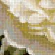 Preview of cross stitch pattern: #898828