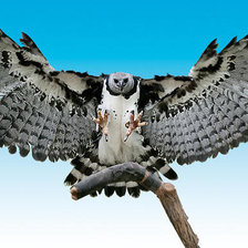 Cross stitch pattern: #898834