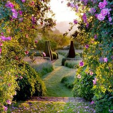 Cross stitch pattern: #898842