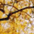 Preview of cross stitch pattern: #898887
