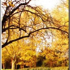 Cross stitch pattern: #898887