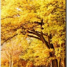 Cross stitch pattern: #898890