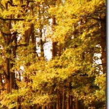 Cross stitch pattern: #898891