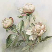 Cross stitch pattern: #898920