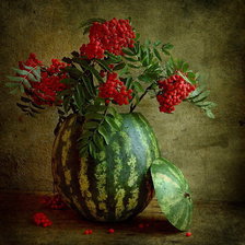 Cross stitch pattern: #898927