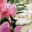 Preview of cross stitch pattern: #898935