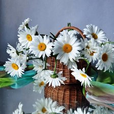 Cross stitch pattern: #898937