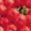 Preview of cross stitch pattern: #898996