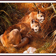 Cross stitch pattern: #899053