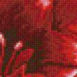 Preview of cross stitch pattern: #899326