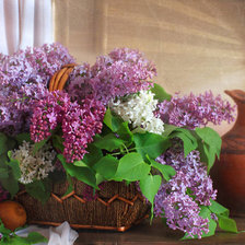 Cross stitch pattern: #899454