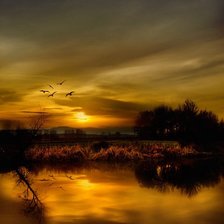 Cross stitch pattern: #899493