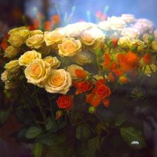 Cross stitch pattern: #899518