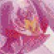 Preview of cross stitch pattern: #899581