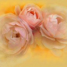 Cross stitch pattern: #899748