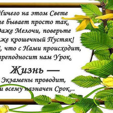Cross stitch pattern: #899876