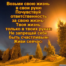 Cross stitch pattern: #899902