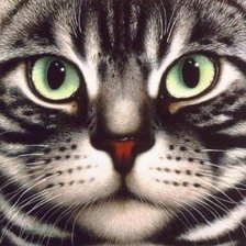 Cross stitch pattern: #899906